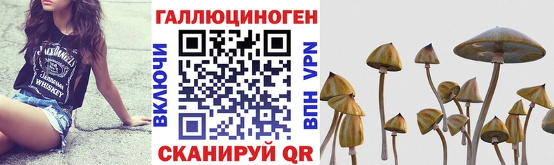 Галлюциногенные грибы Cubensis  как найти наркотики  даркнет официальный сайт  Ковдор 
